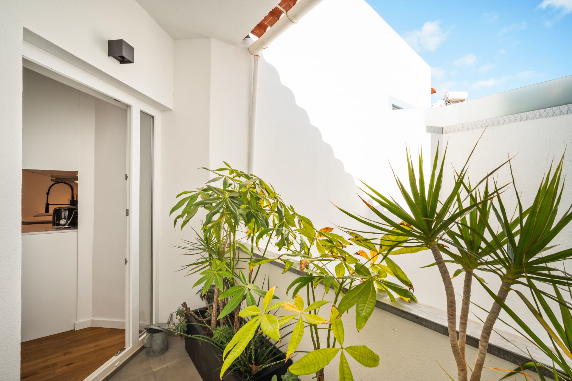 The back terrace: potted plants along the low white wall, a watering can on the tiles, and the open kitchen door behind